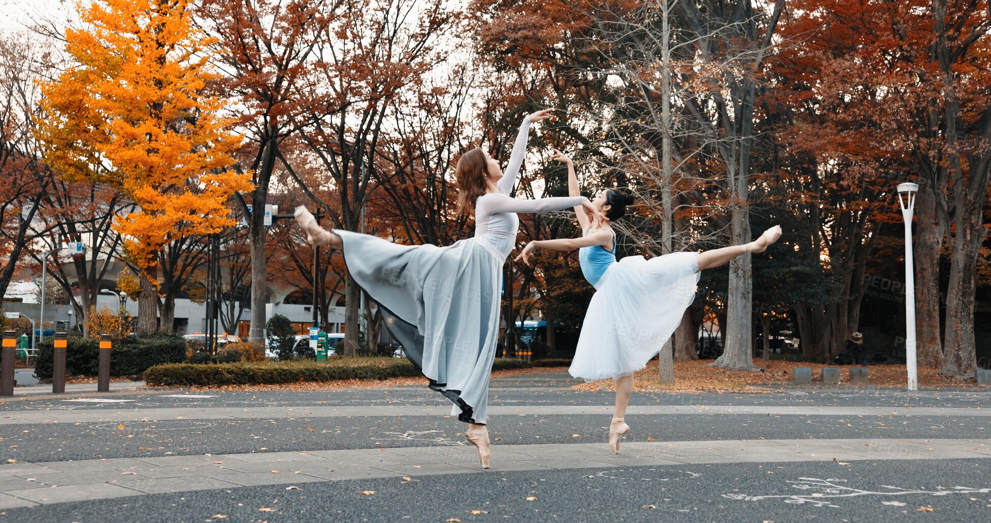 Buy stock photo Ballet, dancing and women in autumn on the street in Japan park with pointe shoes and creative pose. Outdoor, ballerina and people with performance of talent, art and stretching legs in Kyoto