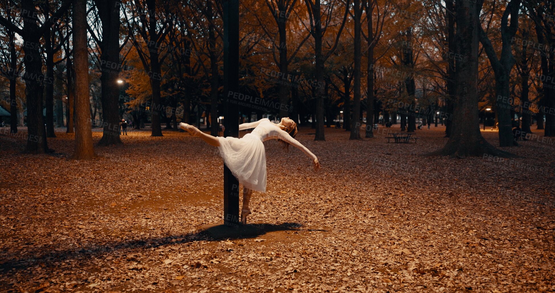 Buy stock photo Ballerina, dancing and night for outdoor performance at street light or flexibility, practice or creative. Female person, leg and dress on pointe in Japanese garden for talent, entertainment or skill