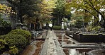 Japan cemetery, person and religion by tombstone in nature, rain and walking by autumn leaves with umbrella. Wet graveyard, monk or journey by stone in urban kyoto or spiritual path by shinto shrine