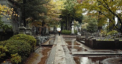 Buy stock photo Japan cemetery, person and religion by tombstone in nature, rain and walking by autumn leaves with umbrella. Wet graveyard, monk or journey by stone in urban kyoto or spiritual path by shinto shrine