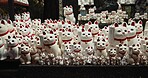 Lucky cat, statue and Shinto shrine in nature, trees and forest with wish, faith or trees in environment. Animal, toys and temple for religion, worship or Buddhism with icon, symbol or wave in Japan