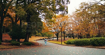 Buy stock photo Japanese woman, kimono and walking by trees with autumn leaves and religion for peace in nature. Person, outdoor and  wellness by maple tree on journey, back and blue sky in tokyo town in sunlight