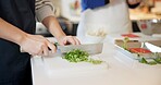 Chef hands, knife and spring onion in restaurant, chopping and prepare ingredients for catering services. Person, cutting vegetables and cooking food for diet, nutrition and health at diner in Tokyo