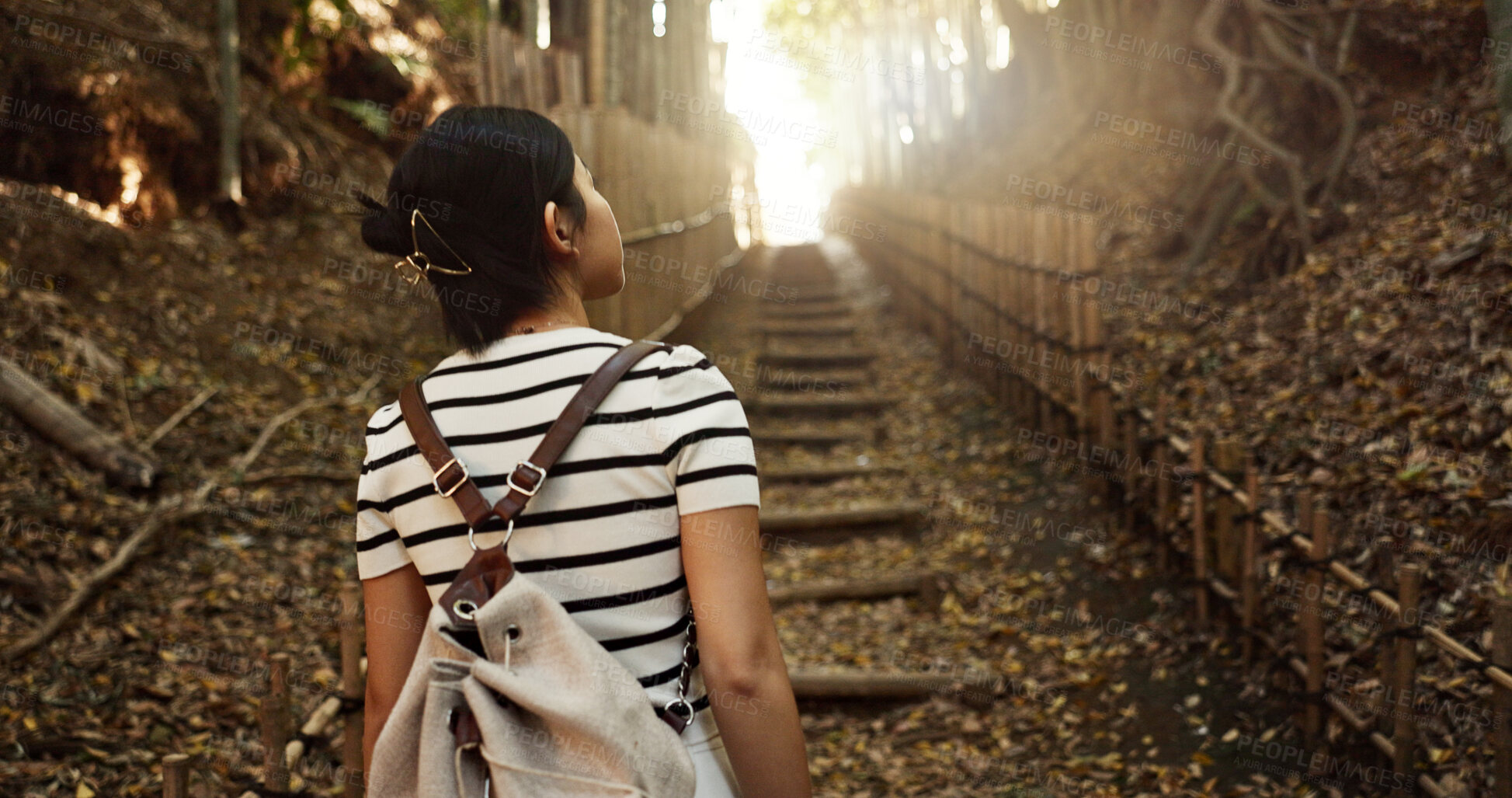 Buy stock photo Nature, travel and  back of Japanese woman in park for adventure on holiday, vacation and morning in woods. Relax, happy and person in forest, path and trail to explore, walking and freedom in Kyoto