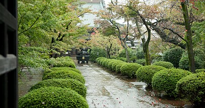 Buy stock photo Buddhist temple, japan and religion in cemetery to worship, praise and prayer building in culture. Japanese path, spiritual hope and travel in peace in rain, shinto shrine and graveyard in tokyo city