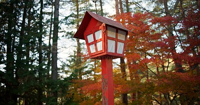 Buy stock photo Nature, forest and Japan, red lamp for lighting path to traditional Shinto shrine with trees, history and autumn. Woods, travel and adventure, toro light in Japanese culture with landscape and zen.