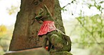 Fox statue at shrine in forest with spiritual history, Japanese culture and vintage art in nature. Travel, landmark and stone nezu jinja sculpture in woods with stone animal monument, trees and god