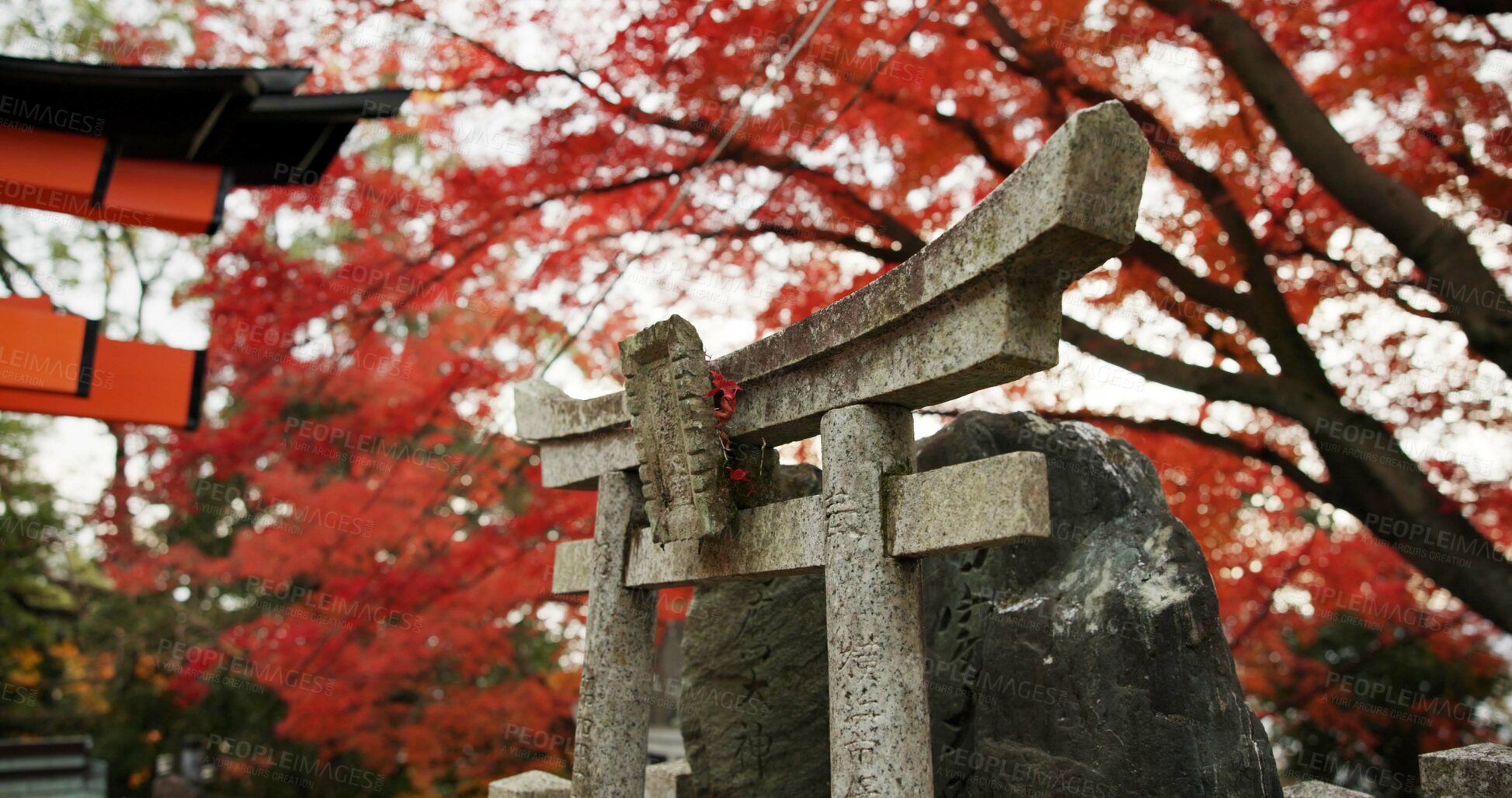 Buy stock photo Statue or sculpture in forest with spiritual history, Japanese culture and vintage art in nature. Travel, landmark and stone nezu jinja shrine in woods with stone monument, trees and worship to god