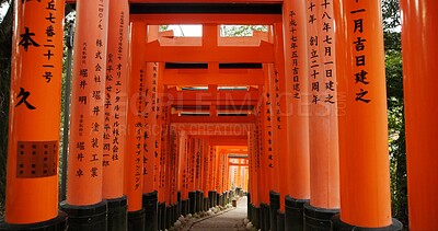 Architecture, torii gates and temple for religion, travel and traditional landmark for spirituality. Buddhism, Japanese culture and trip to Kyoto, zen and prayer or pathway by Fushimi Inari Shinto