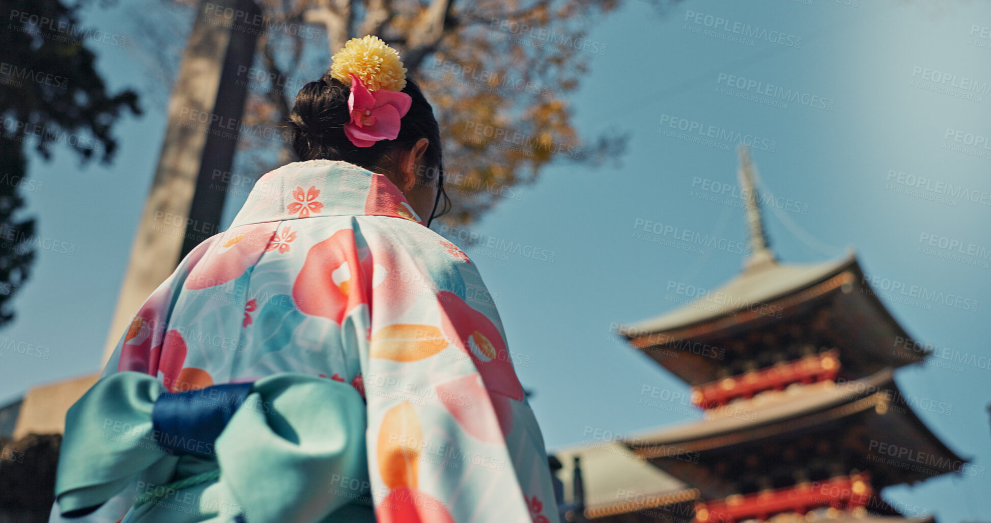 Buy stock photo Woman, shinto temple and back with traditional clothes in culture, building or religion with vision for zen balance. Japanese girl, idea and buddhism in faith, mindfulness or walk on journey in Kyoto