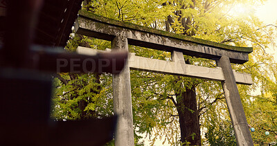 Shinto shrine, temple or torii for faith at building for praise, worship or religion in forest by trees. Woods, symbol and below for culture, peace and mindfulness for spiritual connection in Japan