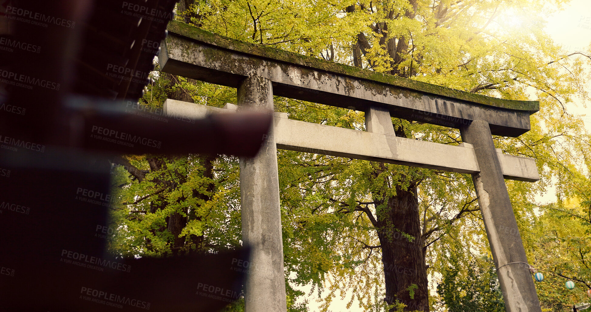 Buy stock photo Shinto shrine, temple or torii for faith at building for praise, worship or religion in forest by trees. Woods, symbol and below for culture, peace and mindfulness for spiritual connection in Japan