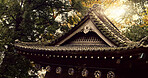 Japanese, temple and building for praise religion or worship, peace or mindfulness practice. Architecture, trees and environment for spiritual meditation or calm faith for wellness, buddhist or pray