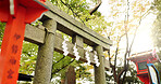 Torii gate, shide and temple in forest in Japan with zen, spiritual history and monument in garden. Nature, trees and Japanese architecture woods with Asian culture, sunshine and stone shrine in park