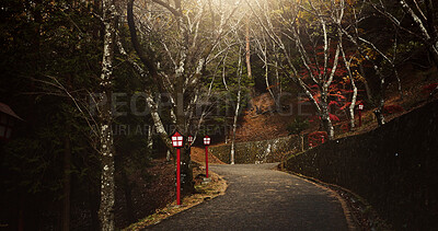 Buy stock photo Dark, park and path in forest of Japan for walking in nature on travel on street in Hanamikoji, Kyoto. Road, landscape and countryside woods in autumn environment with red leaves, plants and trees