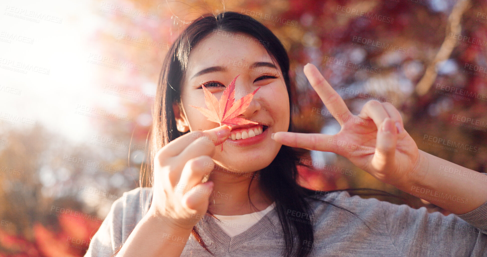 Buy stock photo Japanese woman, face and leaf from park with peace sign, happiness and autumn adventure and holiday. Girl, plant and memory of vacation in forest, environment or outdoor with leaves in Kyoto Japan