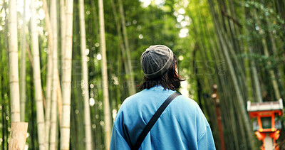 Back, travel and person at bamboo forest outdoor, nature or park in Ariyishiyama, Kyoto, Japan. Rear view of tourist in green garden, environment and sightseeing in jungle adventure on summer trip