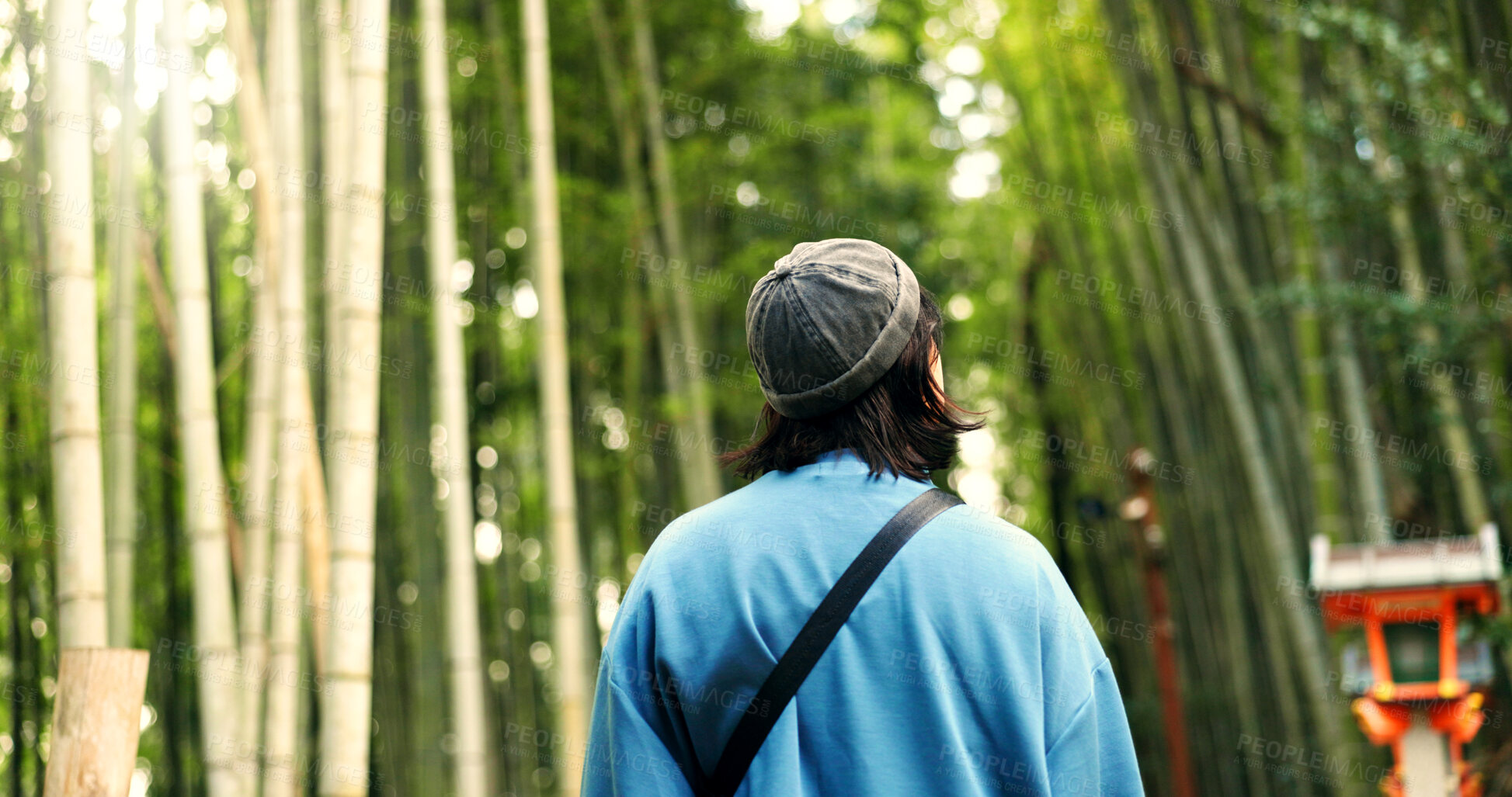 Buy stock photo Back, travel and person at bamboo forest outdoor, nature or park in Ariyishiyama, Kyoto, Japan. Rear view of tourist in green garden, environment and sightseeing in jungle adventure on summer trip