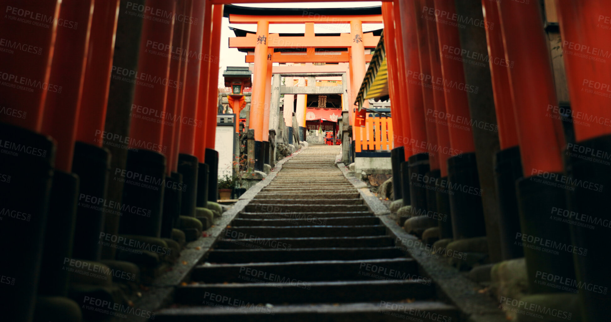 Buy stock photo Stairs in Torii gate tunnel with temple, peace and mindfulness on travel with spiritual history. Architecture, Japanese culture and steps on orange path at Shinto shrine monument in forest in Kyoto