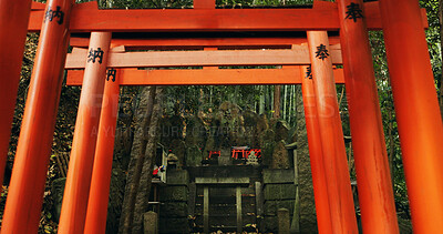 Nature, forest and Torii gate monument in Kyoto with peace, mindfulness and travel with spiritual history. Architecture, Japanese culture and Shinto shrine in woods with sculpture, memorial and trees