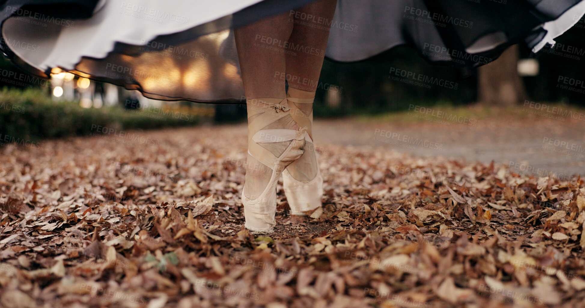 Buy stock photo Ballet, feet and pointe or dancer outdoor in nature for professional street performance, practice or spin. Shoes, leaves and closeup in Japanese garden or artist expression, creative or entertainment