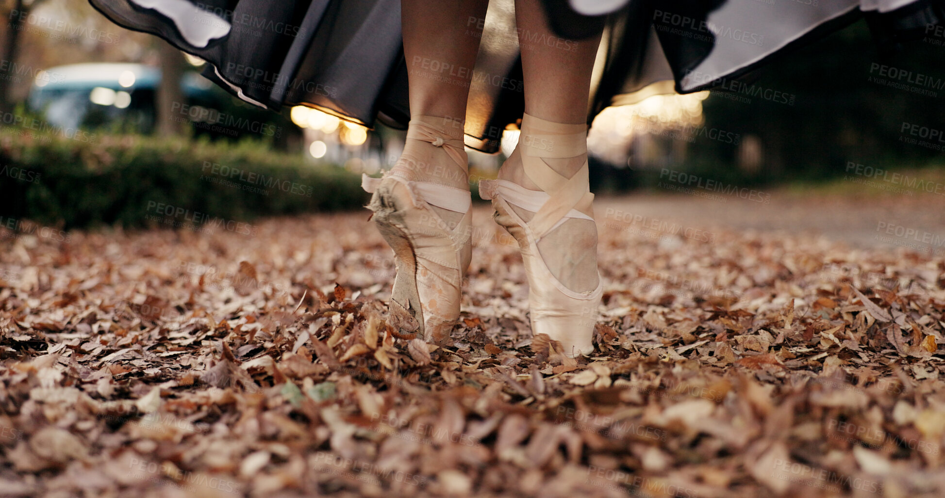 Buy stock photo Ballet, feet and pointe or dancer outdoor in nature for professional street performance, practice or spin. Shoes, leaves and closeup in Japanese garden or artist expression, creative or entertainment