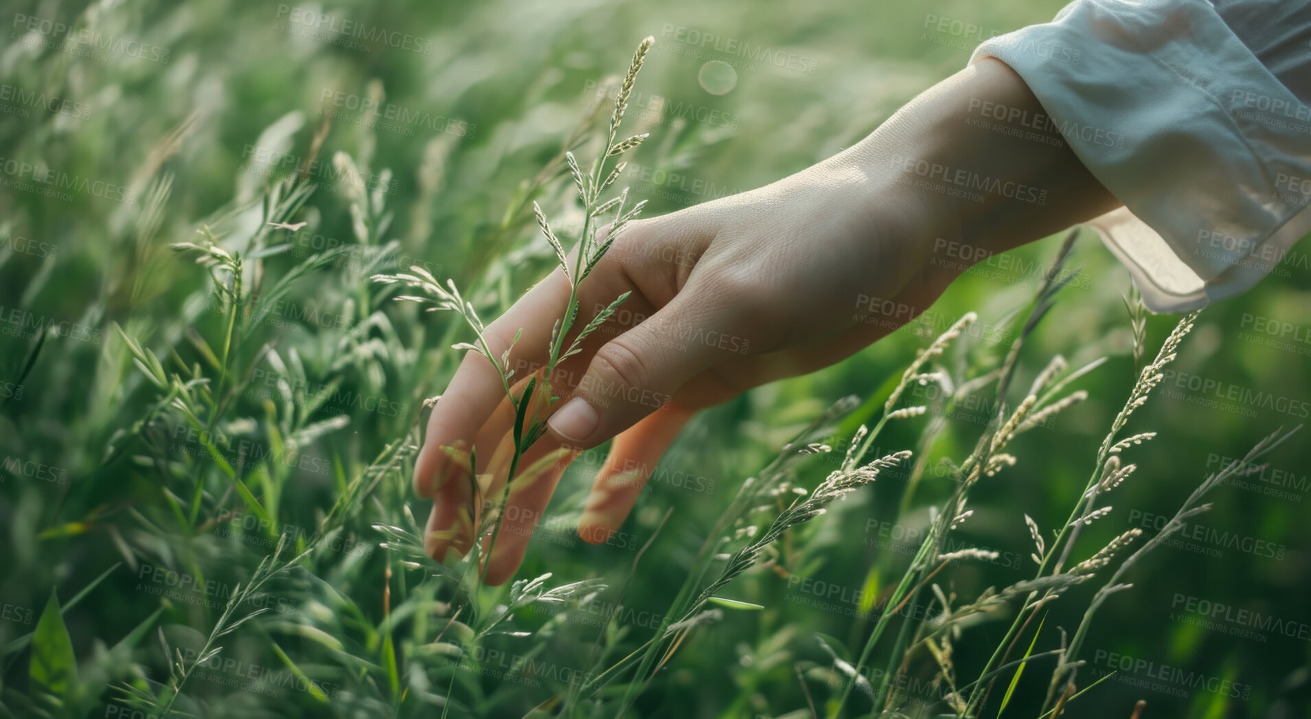 Buy stock photo Hand, environment and sustainability mockup of person touching plant in field for background, wallpaper and design. Green beauty, lush and natural backdrop with copyspace for ecology and eco friendly