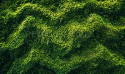 Field, environment and sustainability mockup of grass for background, wallpaper and design. Green beauty, lush and lawn texture with copyspace for ecology, eco friendly and carbon footprint