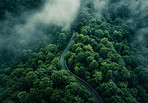 Highway, road and drone view of a path through the forest for vacation, adventure and transportation. Clean, green and jungle landscape for environment, sustainability and ecology background