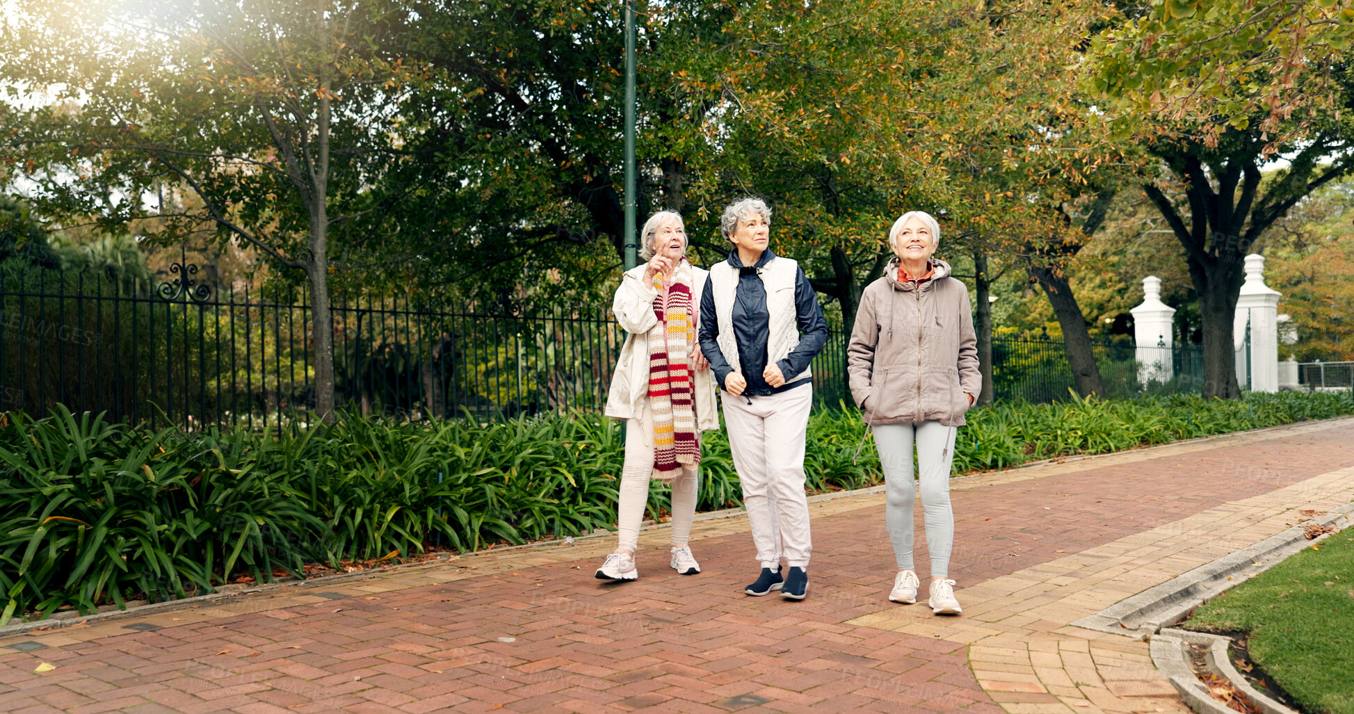 Buy stock photo Senior friends, walking and talking together on an outdoor path to relax in nature with elderly women in retirement. People, happy conversation and healthy exercise in the park in autumn or winter