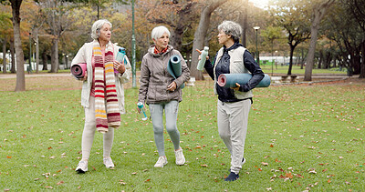Smile, retirement and senior friends in the park, laughing together while standing on a field of grass. Portrait, freedom and comedy with a group of elderly women in a garden for fun or humor