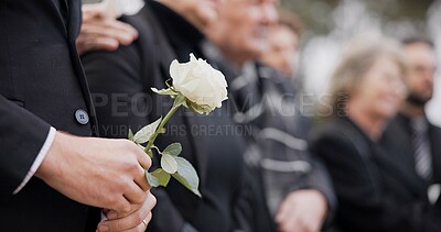 Hands, rose and a person at a funeral in a cemetery in grief while mourning loss at a memorial service. Death, flower and an adult in a suit at a graveyard in a crowd for an outdoor burial closeup