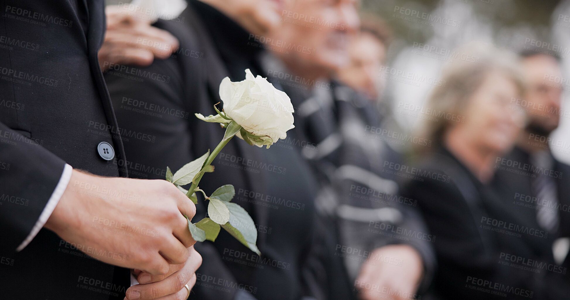 Buy stock photo Hands, rose and a person at a funeral in a cemetery in grief while mourning loss at a memorial service. Death, flower and an adult in a suit at a graveyard in a crowd for an outdoor burial closeup