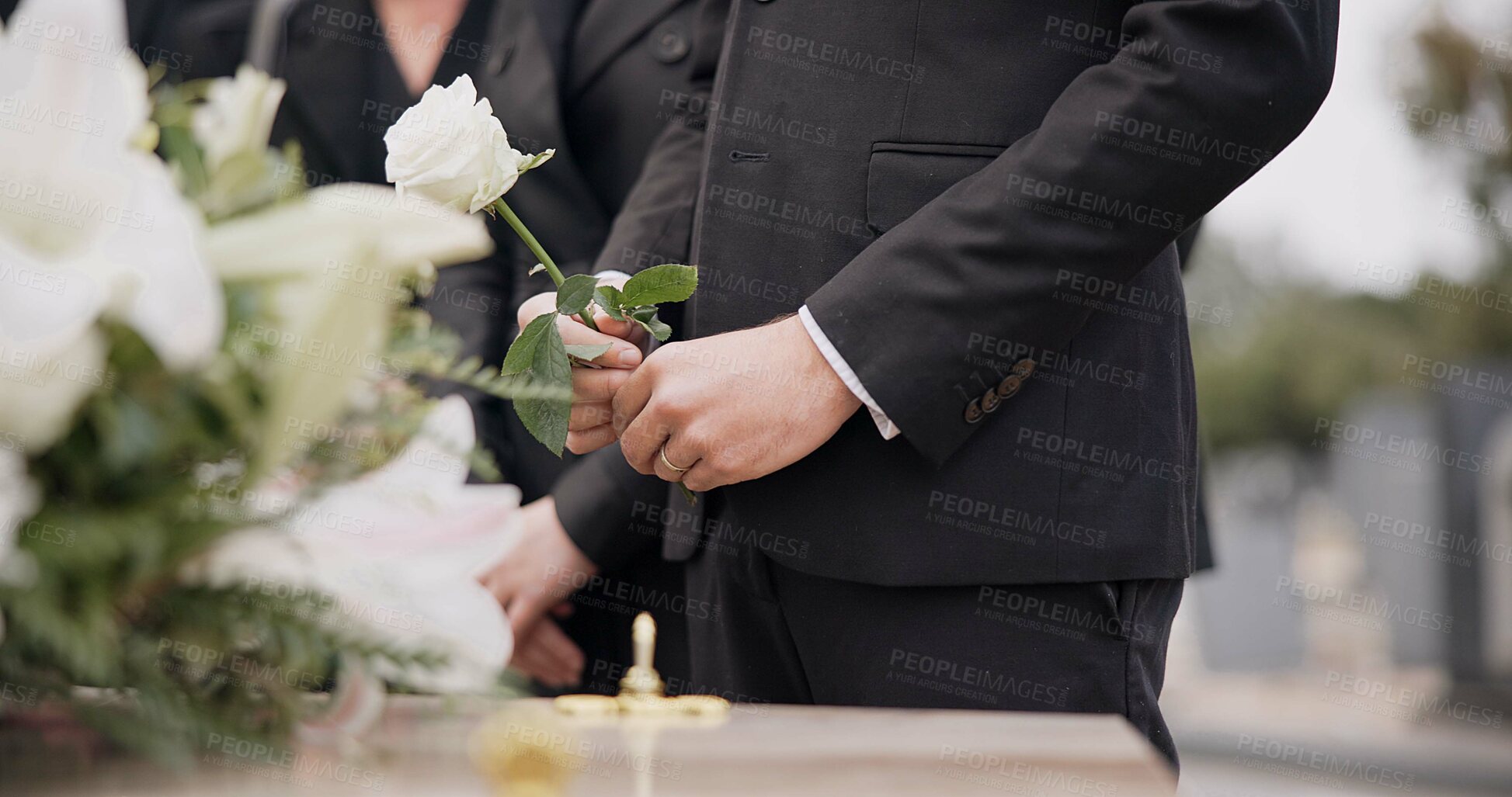 Buy stock photo Hand, rose and a person at a funeral in a graveyard in grief while mourning loss at a memorial service. Death, flower and an adult in a suit at a cemetery with a coffin for an outdoor burial closeup