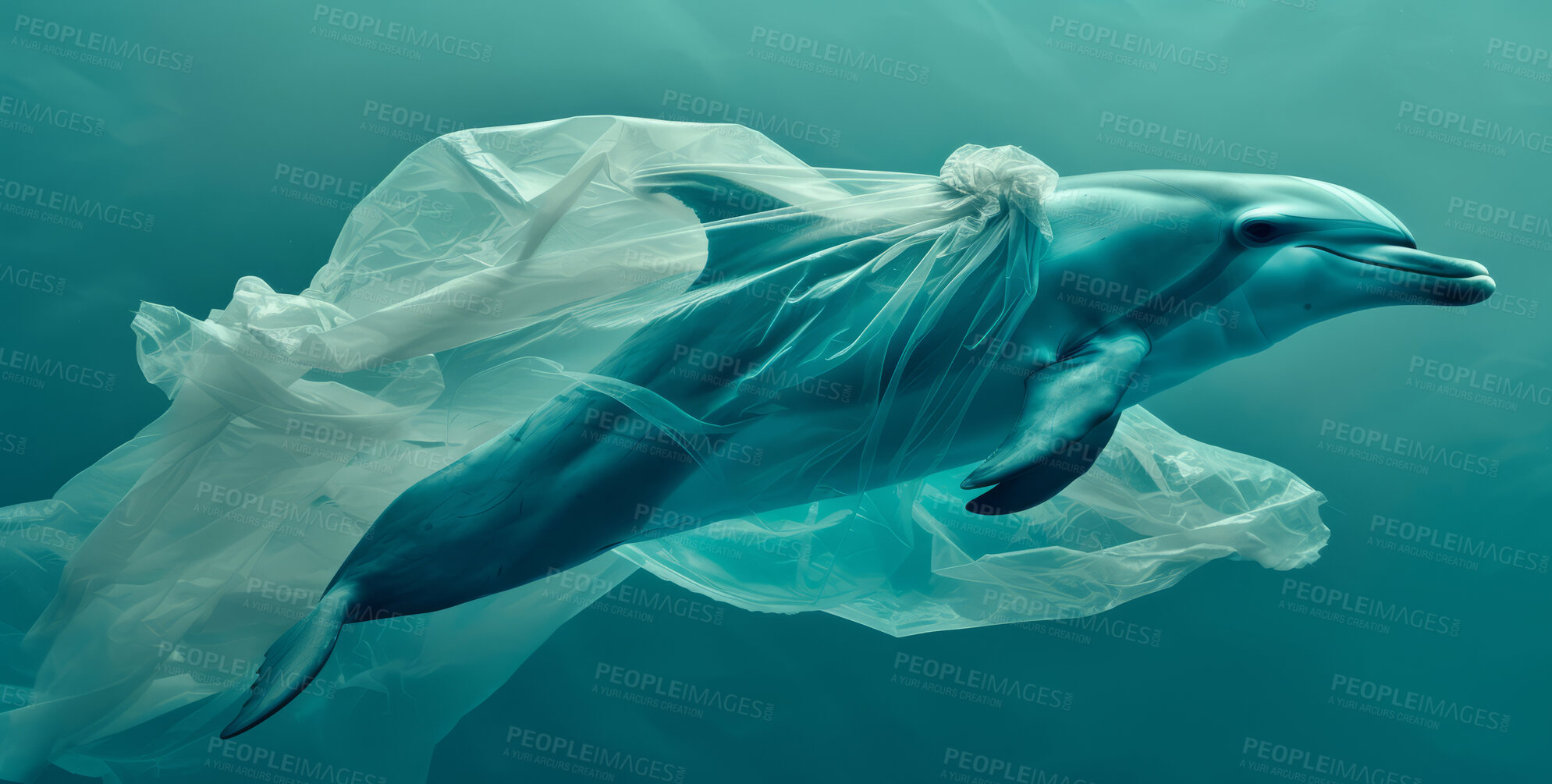 Buy stock photo Ocean, sea and dolphin swimming underwater in clear water for tourism, holiday, adventure and travel. Blue, wildlife and nature scene with plastic for impact of pollution, environment and waste