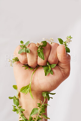 Buy stock photo Woman hand, nature growth and fist for eco warrior, fight and revolution for sustainability protest. White background, studio and person with leaf and green plant in hands for environment rally