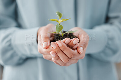 Buy stock photo Person, hand and plant in soil for business growth or startup investment for company development or eco friendly opportunity. Fingers, leaves and dirt for sustainability project, resources or future