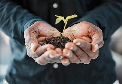 Buy stock photo Hands, soil and person with leaves for growth, ecology and environment with eco friendly investment for business. Nature, plant and fertilizer zoom for sustainable development and carbon capture