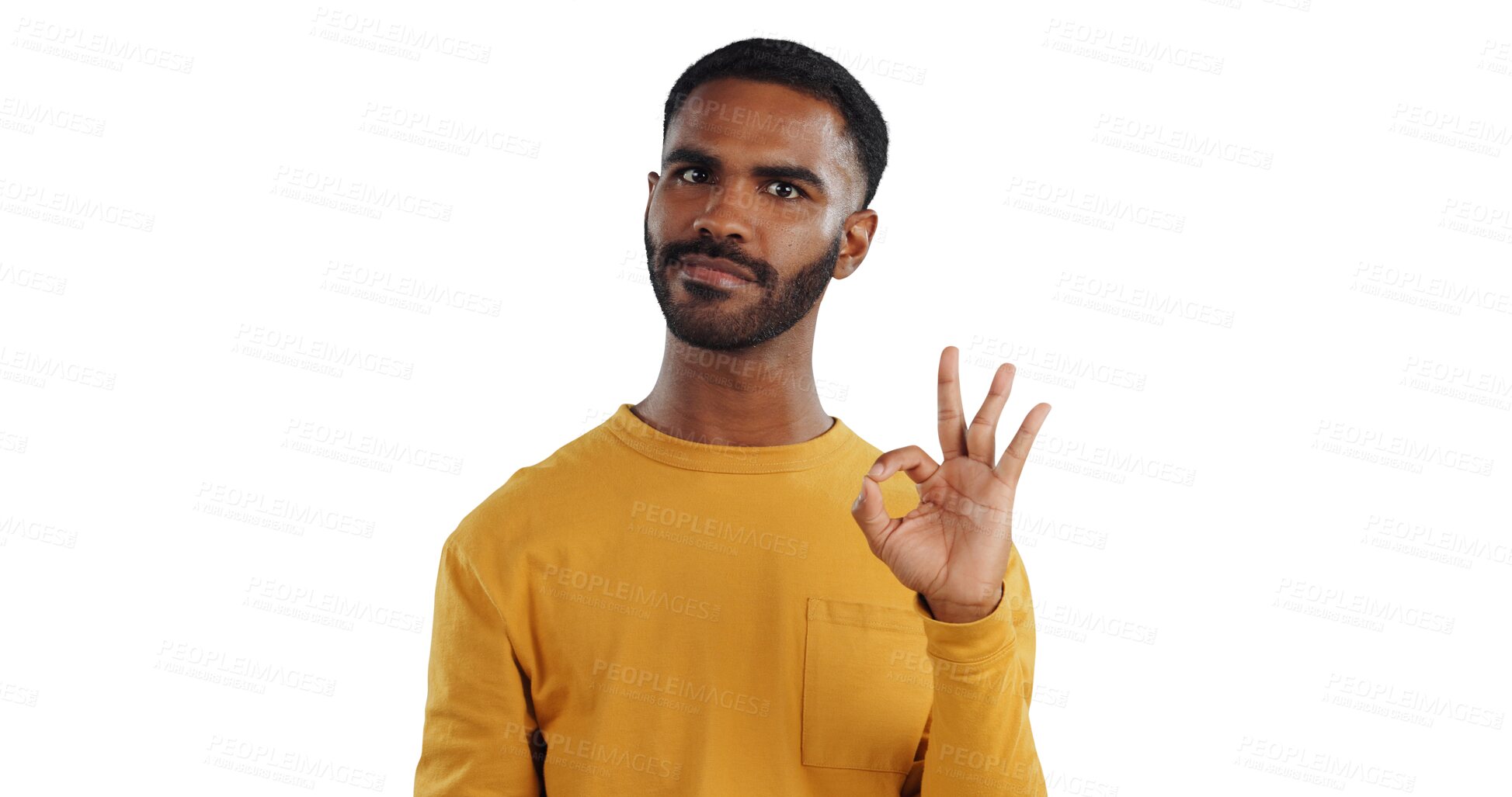 Buy stock photo Portrait, hands and man with perfect sign, support or motivation on isolated, transparent or png background. Ok, emoji and face of male person with feedback, agreement or review, vote or excellence