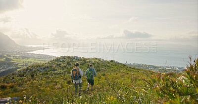 Back of couple hiking, travel on mountains and walking for adventure, wellness and health in nature and flowers. Sports people with backpack for trekking on rocks, green hill and eco friendly journey
