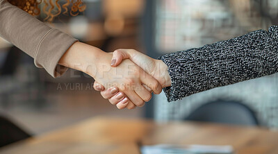 Handshake, corporate business and people in an interview or greeting for meeting, partnership agreement or promotion. Closeup, hands or businesspeople agree to deal for contract, negotiation or trade