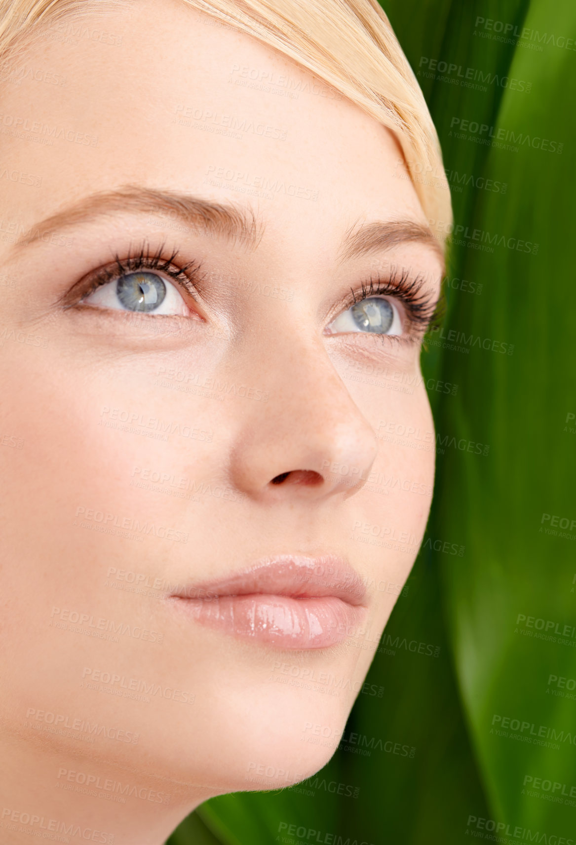 Buy stock photo Face, natural beauty and woman with leaf isolated on a green background for skincare, wellness or health. Thinking, cosmetics and young model in nature for facial, organic and closeup of dermatology
