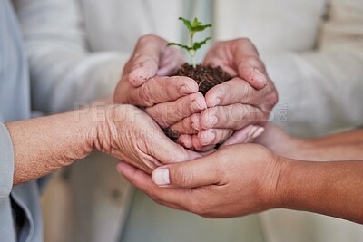 Buy stock photo Support hands, plants and palm of business people with climate change help, agro community service or agriculture development. Future investment, company carbon footprint or group environment project
