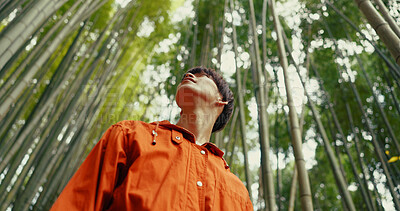 Buy stock photo Japanese man, bamboo trees and forest on walk, adventure and hiking with thinking, ideas and journey. Person, outdoor or trekking for peace, mindfulness or woods at Fushimi Inari on vacation in Kyoto