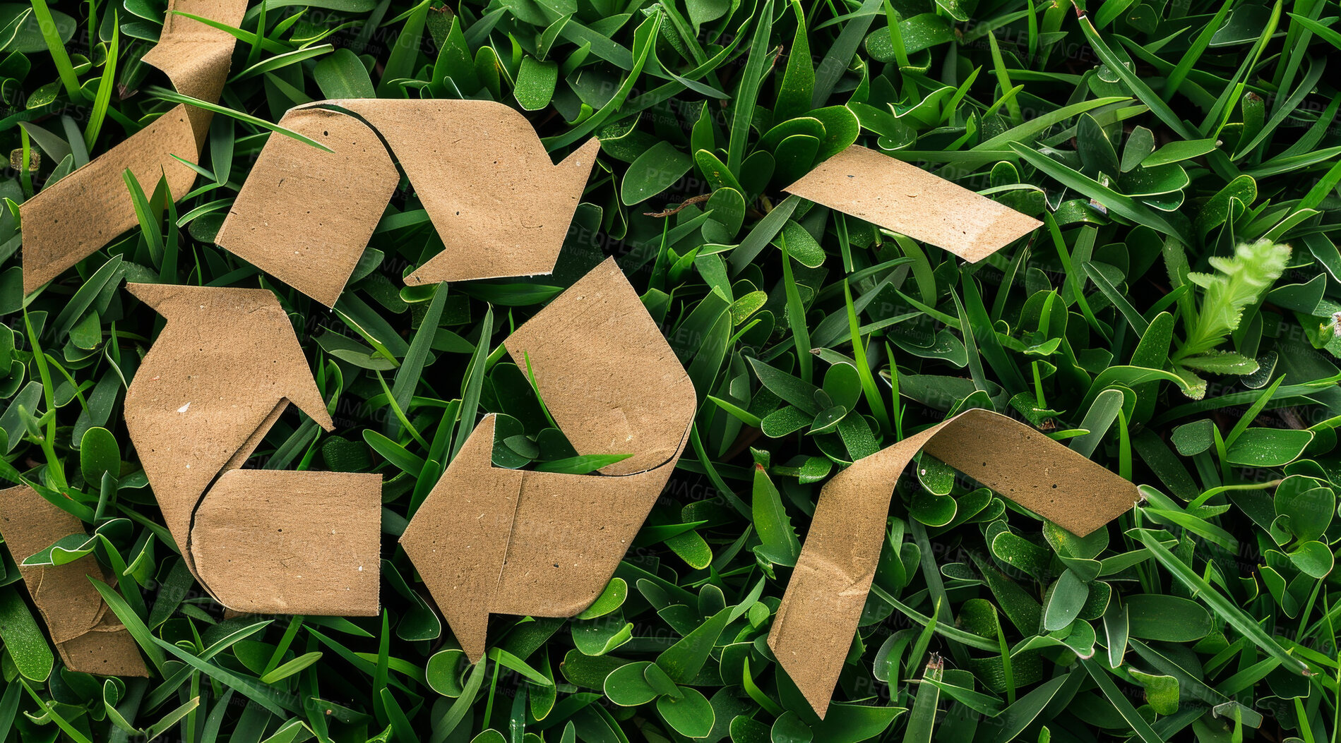 Buy stock photo Recycle, sign and cardboard on nature background for environmental, awareness and sustainability concept. Green grass, mockup and symbol with copyspace for Earth Day, eco system and ecology logo