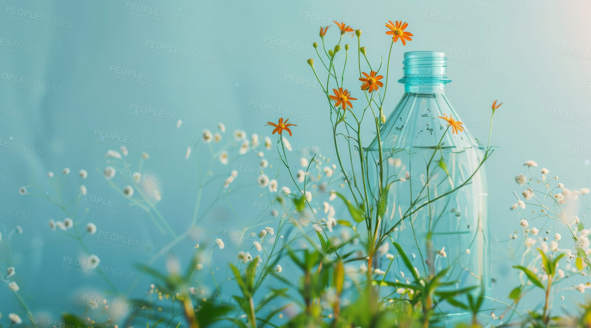 Buy stock photo Plastic, bottle and plant nature growing on waste for reduce, reuse and recycle concept. Rubbish, mockup or water container garbage disposed for environment protection, ecosystem or sustainability