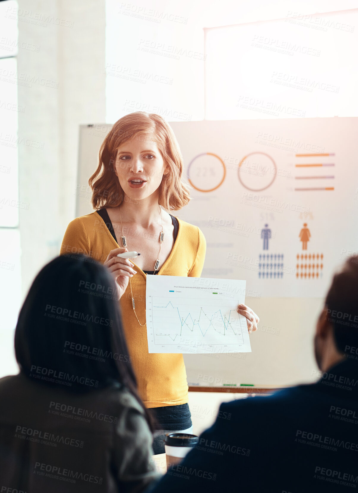 Buy stock photo Document, presentation and business people in meeting at office with demographic statistics. Board, paperwork and female speaker with team for population charts at training workshop in workplace.