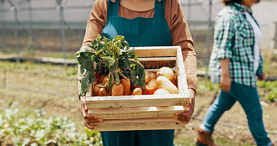 Person, vegetable and box in greenhouse for farming agriculture, supply chain or countryside. Worker, carrots and onion in box as gardening supplier for wellness food or environment, growth or land