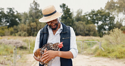 Walking, chicken and black man on a farm, smile and bonding with agriculture, sustainability and nature. African person, outdoor or farmer with poultry industry, fowl and fresh air in the countryside