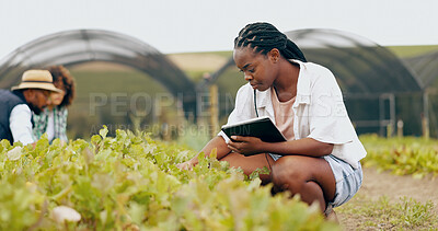 Tablet, inspection and black woman in greenhouse for farming with vegetables, leaves or greenery. Quality check, digital technology and African female farmer doing research on produce in environment.